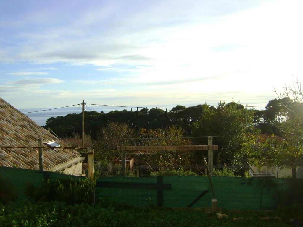 Drage Apartment Dubrovnik